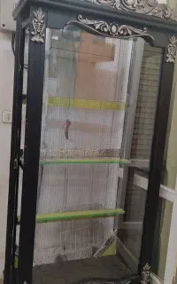 قفس پرنده