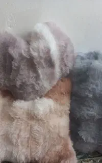 بالش کوسن نشیمن