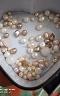 اصل