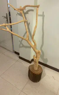 درختچه مناسب پرندگان و به عنوان آباژور هم میشه