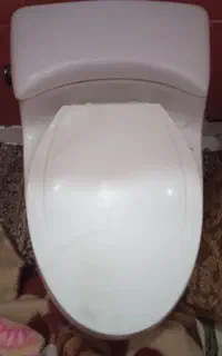 توالت فرنگی