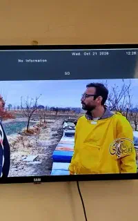 تلویزیون سیم