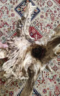 لوستر چوبی با ریشه تنه درخت