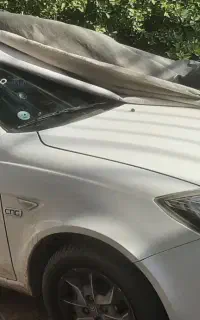 ساینا دوگانه