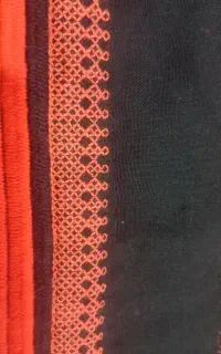 پر چوتل پذیرفته میشود