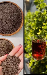 چای کله مورچه درجه یک
