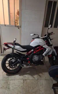 بنلی جفت سیلندر300cc واقعی وارداتی