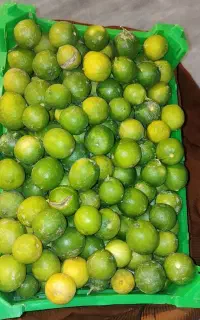 لیمو ترش کیلو 150