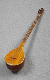 سه تار نو خوش صدا به همراه هارد کیس