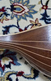 سه تار حرفه ای آقای  ثابت کلام