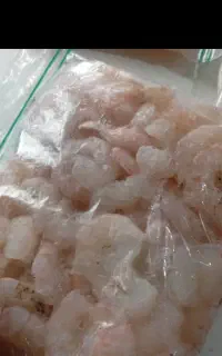انواع میگو موجود
