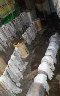 دباغی شده پوست دمام