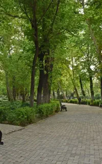 دورهمی فان ‌پنجشنبه،والیبال،وسطی