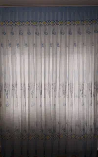 دوعددپرده