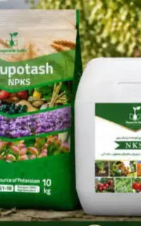 کودآلی مایع( رویش سبز )برای تغذیه پسته
