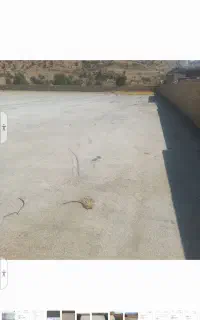 فروش زمین مسکونی