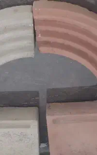 گل باغچه