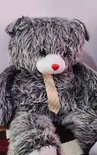 خرس بزرگ