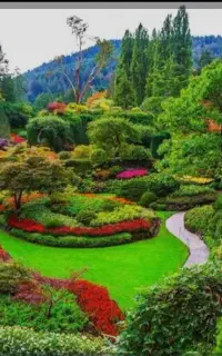 کارشناس فضای سبز(جویای کار)