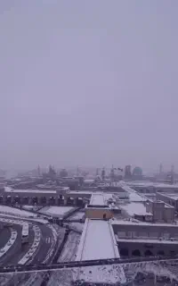 راهنمای گردشگر