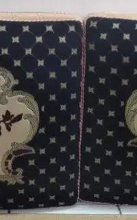 دو جفت پشتی