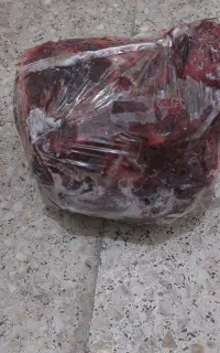 غذای سگ