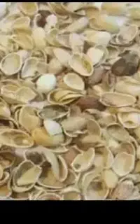 خرید پوست پسته ب قیمت روز