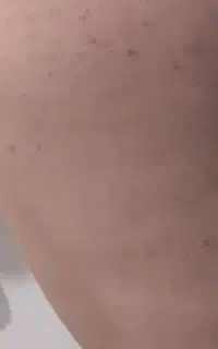 رهنمایی کنید