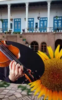 اموزشگاه موسیقی..ویلن..