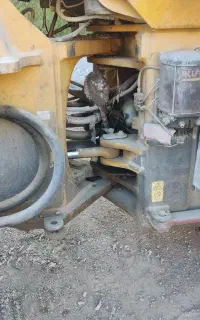 راننده ویژه هستم