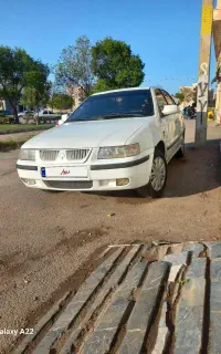 سمند سفید