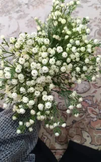 شکوفه عروس مصنوعی