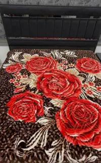اصلش اینه کف قیمت بخری