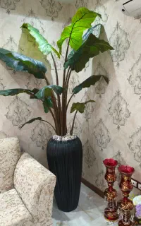 گلدان بزرگ ارتفاع ۱۸۵