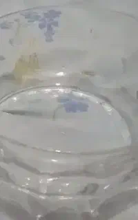 بشقاب شستی با کاسه متوسط