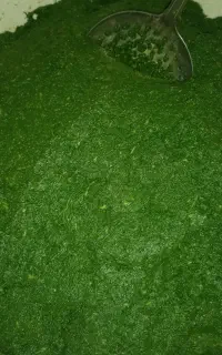 سوزی پخته شده وخام