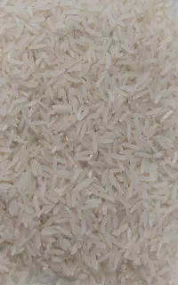 برنج فجر ۱۰ کیلویی