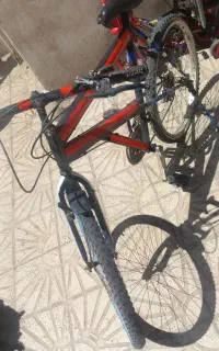 حرفه ای