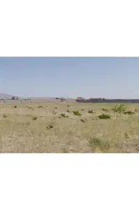 تانکراباد قز