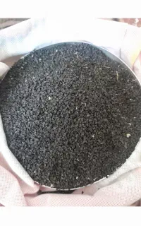 بذرپیاز