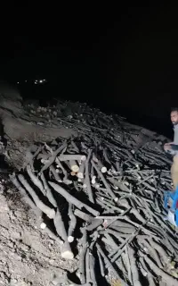 خرید انواع چوب...