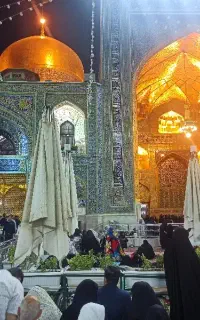نمایندگی فروش فرش مساجد مصلی....