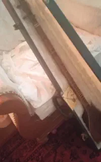 سه تار محمدی