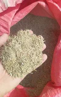 خارشتر سبز ونرم