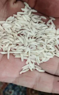 برنج هاشمی