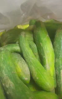 مقدار ۱۰۰ کیلو خیار