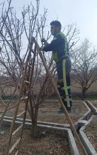 کلیه کارهای باغبانی وسم پاش وتیلرزنی وگل کاری هرس