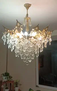 یک جفت اوستر