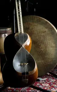 آکادمی موسیقی همایون