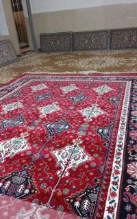 فرش 700شانه